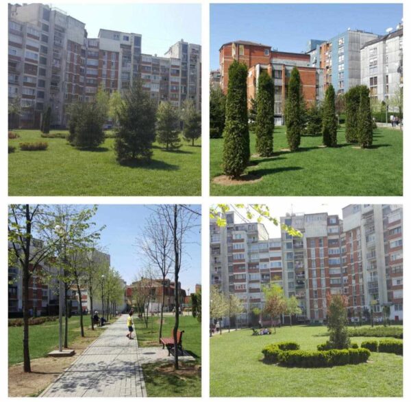 Dardani - Image 6