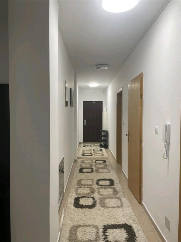 Qender - Image 7